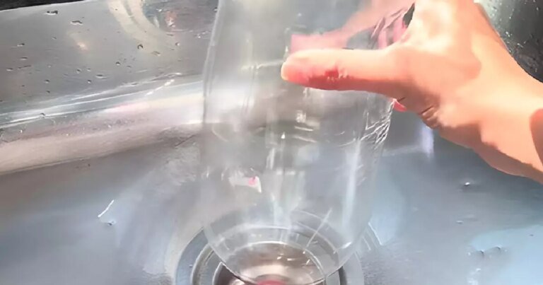 Colocar uma garrafa pet cheia de água de cabeça para baixo no ralo da pia: para que serve e por que é recomendado
