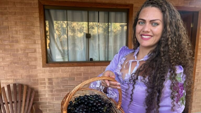 ES: receita ideal para um bom vinho nasce em Santa Teresa