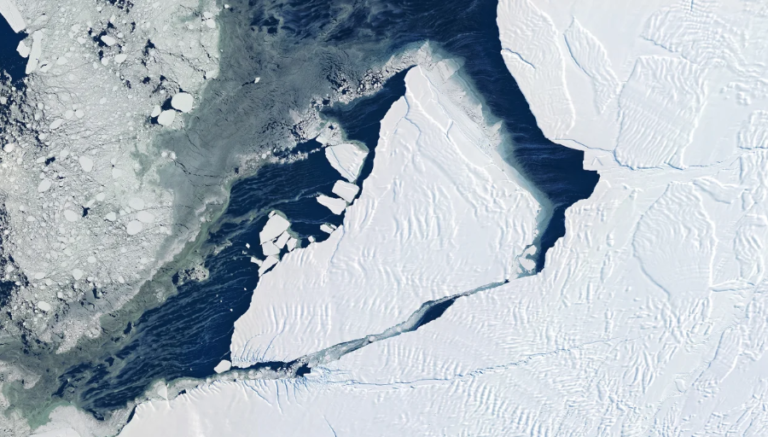 Groenlândia e Antártica perderam 12,5 trilhões de toneladas de gelo em menos de 50 anos