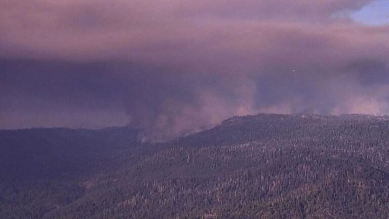 Queda de helicóptero mata dois tripulantes durante combate a incêndio