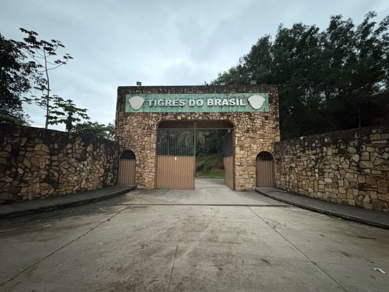 Como um clube com estrutura de time grande sumiu do cenário do Rio
