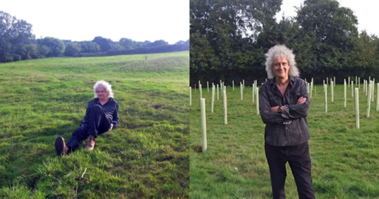 Em 2013, Brian May do Queen plantou um carvalho numa fazenda abandonada; dez anos depois, 100 mil árvores trouxeram de volta os animais para a região