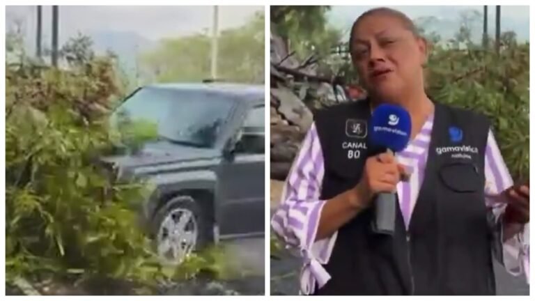 VÍDEO: Repórter e cinegrafista são atropelados durante entrada ao vivo no México – G1